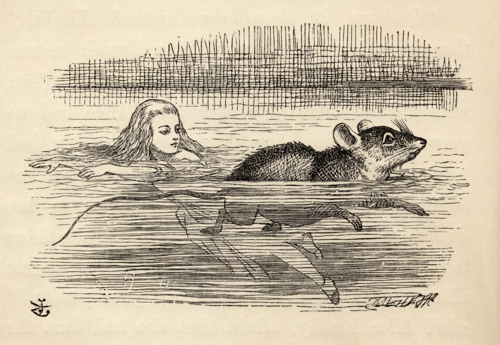Alice Swimming with A Mouse In The Pool of Tears Illustration by John Tenniel From The Book Alicess Adventures In Wonde Poster Print - Large - 34 x 24