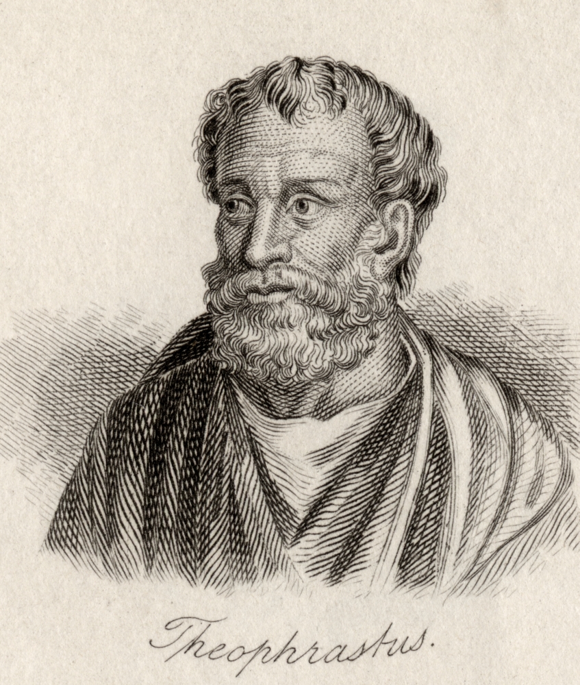 Theophrastus 372Bc-287Bc Greek Philosopher & Naturalist. Engraved by J.W.Cook Poster Print