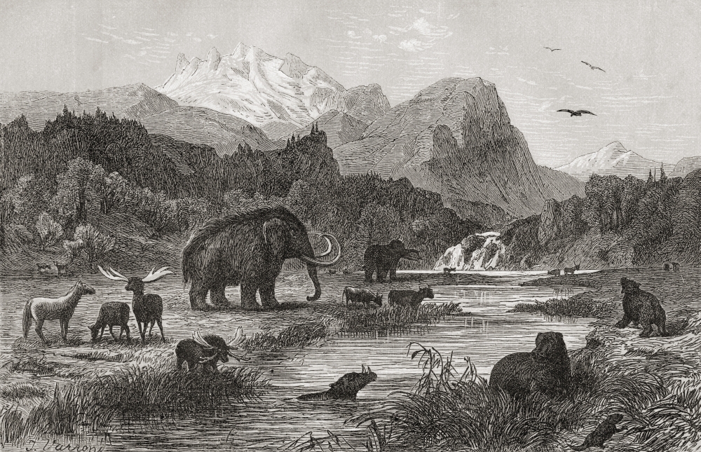 Pliocene Landscape. Print From The 1870s Poster Print