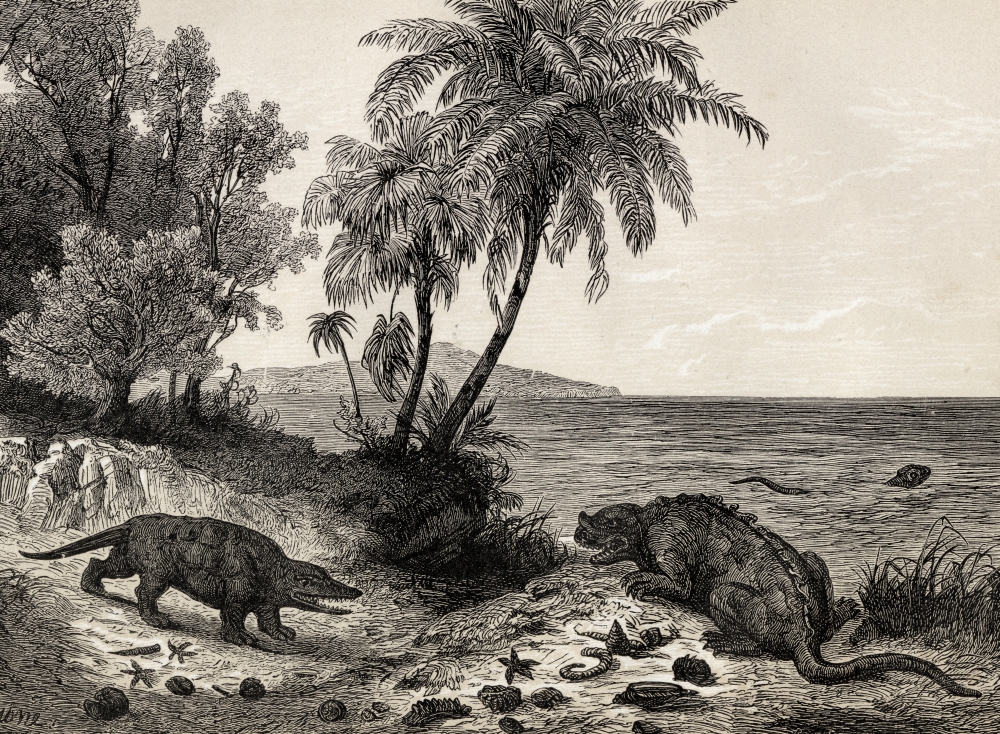Chalk-Age Landscape. Print From The 1870s Poster Print