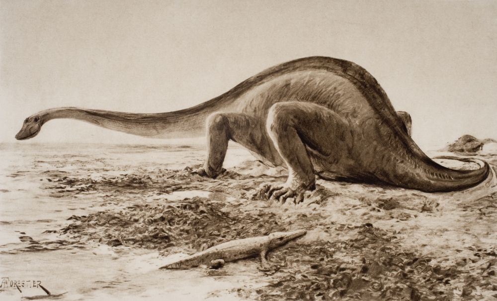 The Giganotosaurus Disinterred From Rocks 1912 From A Reconstruction Drawing Poster Print, Large - 36 x 22