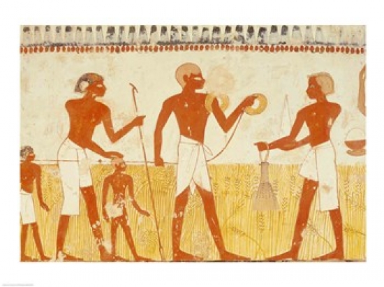 Picture of Posterazzi BALXIR184029 Measuring The Land Using Rope From The Tomb Chapel of Menna Poster Print - 24 x 18 in.