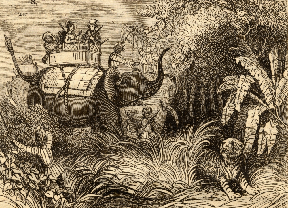 Hunting Tigers in India Poster Print - 18 x 13