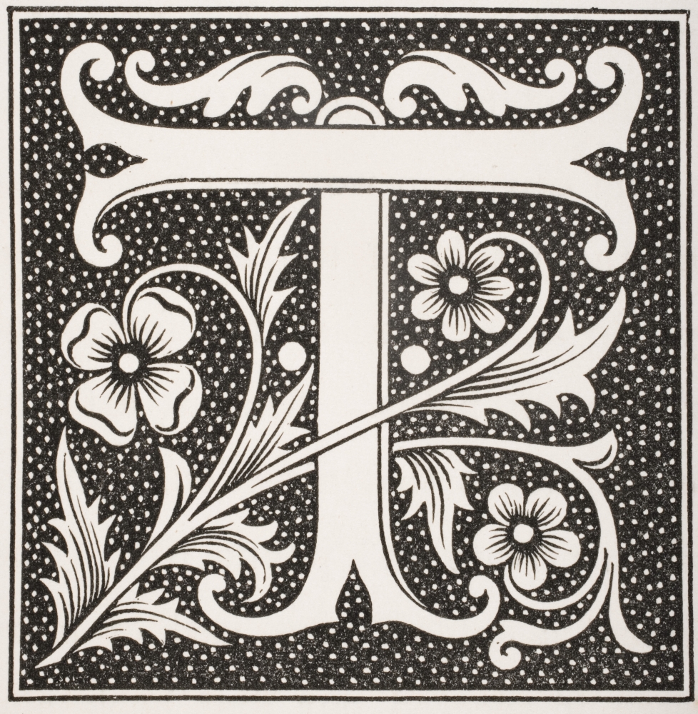 Decorative Capital Letter T Poster Print, Large - 28 x 30