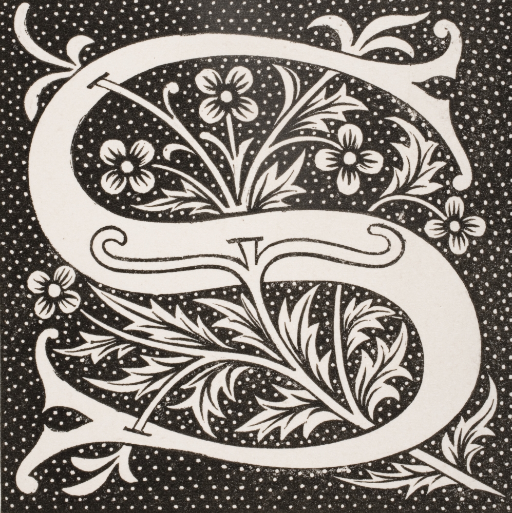 Decorative Capital Letter S Poster Print, 14 x 15