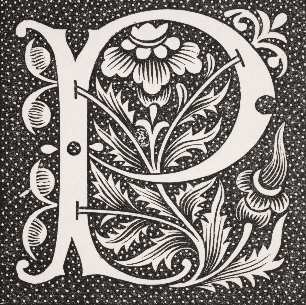 Decorative Capital Letter P Poster Print - 14 x 14