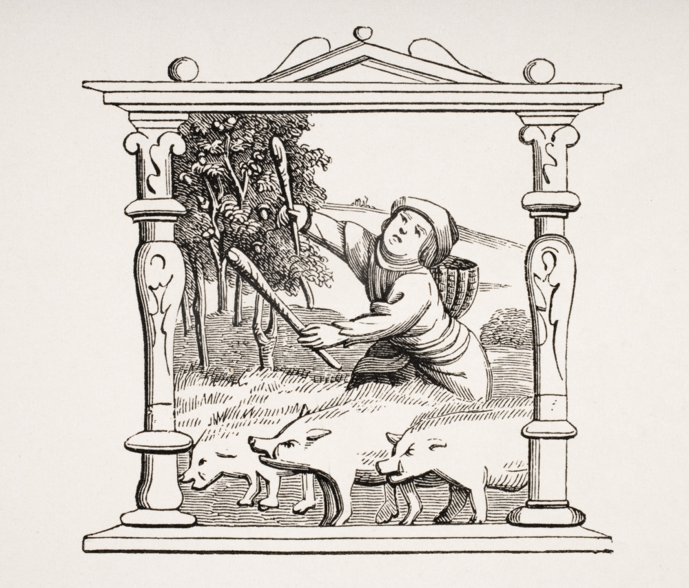 DPI1857915LARGE Swineherd with His Herd of Pigs 19th Century Reproduction From Calendar in A Book of Hours Poster Print, Large - 32 x 28