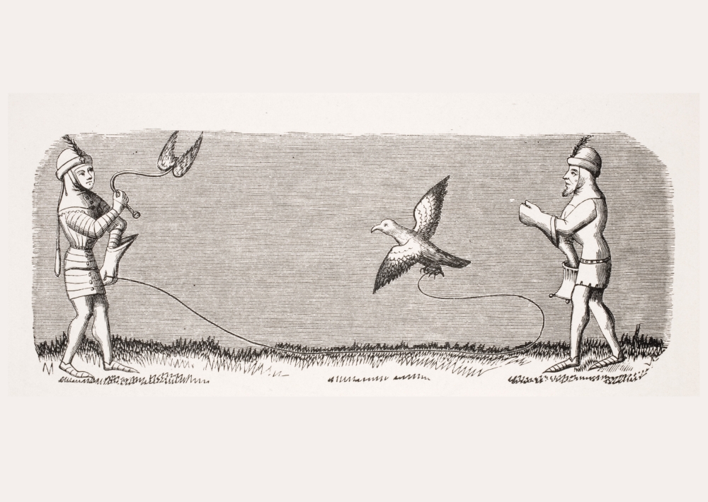 DPI1857929LARGE How To Train A New Falcon 19th Century Reproduction of Miniature In 14th Century Poster Print, Large - 34 x 24