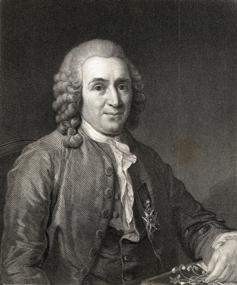 Carl Von Linne Aka Linnaeus 1707-1778 Swedish Botanist & Explorer From The Book Gallery of Portraits Published London Poster Print - Large - 26 x 32