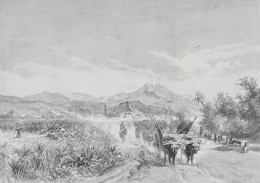 Malaga Spain From The Sugar Fields by Edward T. Compton From The Picturesque Mediterranean Circa 1890 Poster Print