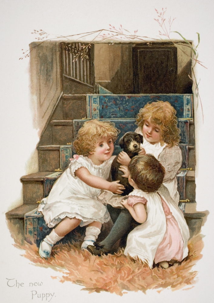 The New Puppy Poster Print, Large - 24 x 34