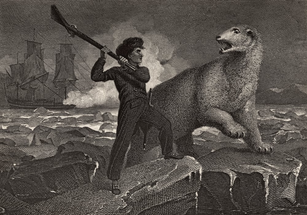 Nelsons Encounter with A Bear. Horatio Nelson Lord Nelson Viscount Nelson Poster Print - Large - 36 x 24