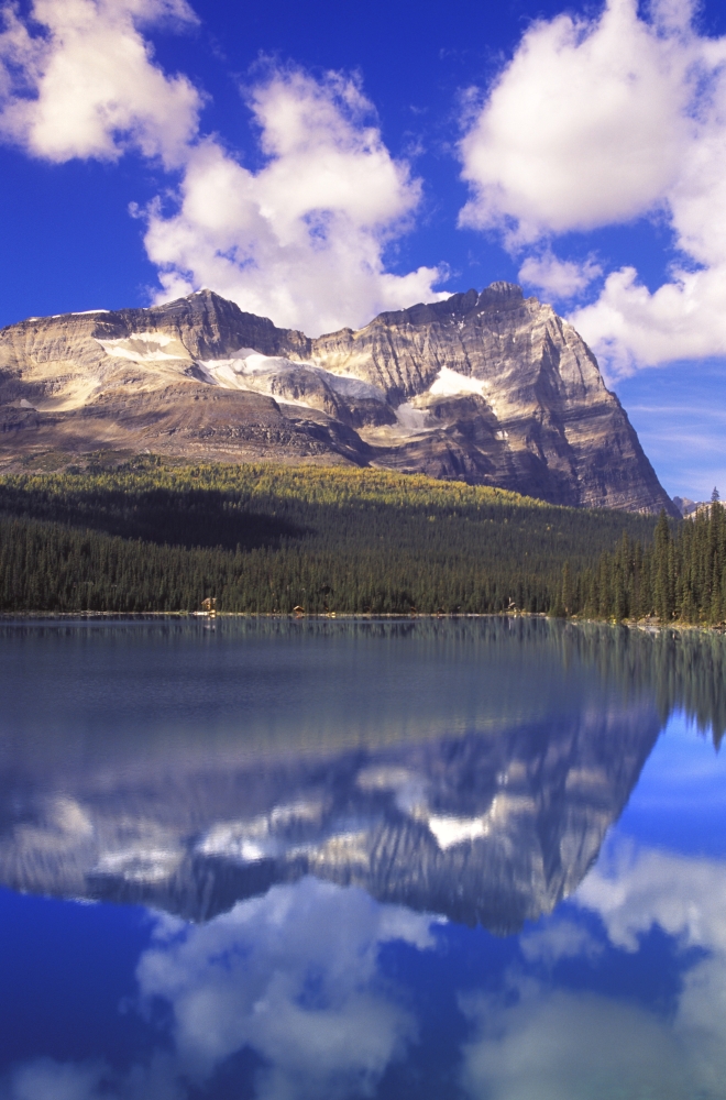 A Beautiful Mountain Reflection Poster Print - 22 x 34 in. - Large
