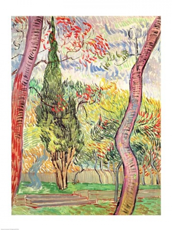Picture of Posterazzi BALXIR70304 The Garden of St. Pauls Hospital St. Remy October 1889 Poster Print by Vincent Van Gogh - 18 x 24 in.