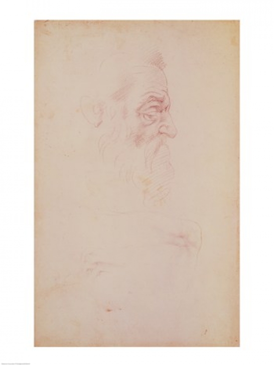 Picture of Posterazzi BALXIR80144 Sketch of A Male Head & Two Legs Poster Print by Michelangelo Buonarroti - 18 x 24 in.