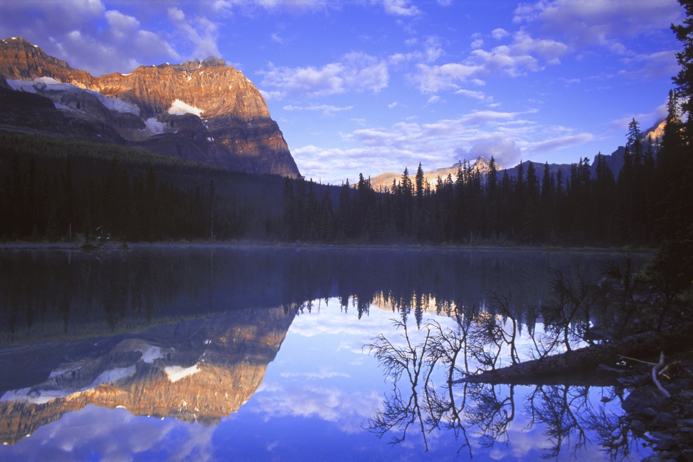 A Beautiful Lake View Poster Print - 17 x 11 in.
