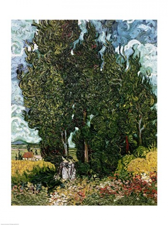 The Cypresses Poster Print by Vincent Van Gogh - 18 x 24 in.