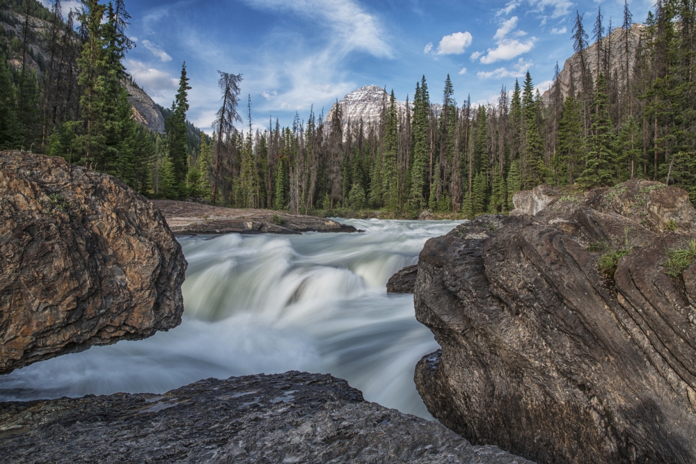The Kicking Horse River Flows Over A Waterfall Before It Goes Beneath A Natural Bridge Yoho National Park - British Colu Poster Print - 19 x 12 in.