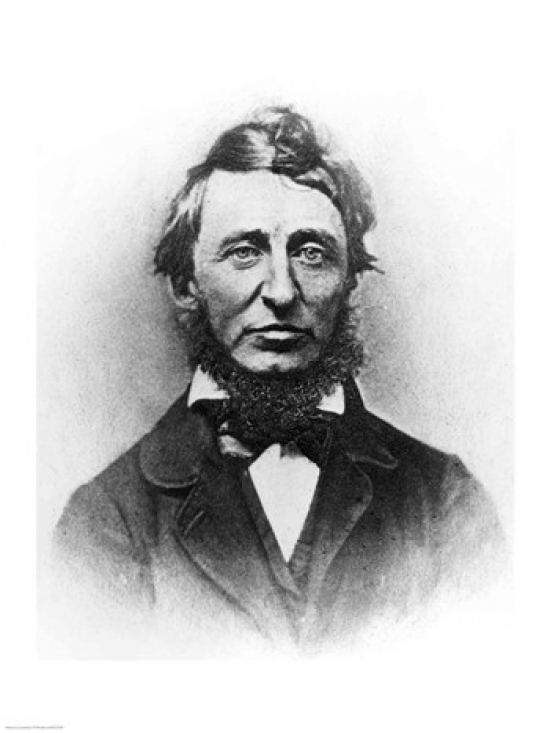 Henry Thoreau Poster Print - 18 x 24 in.