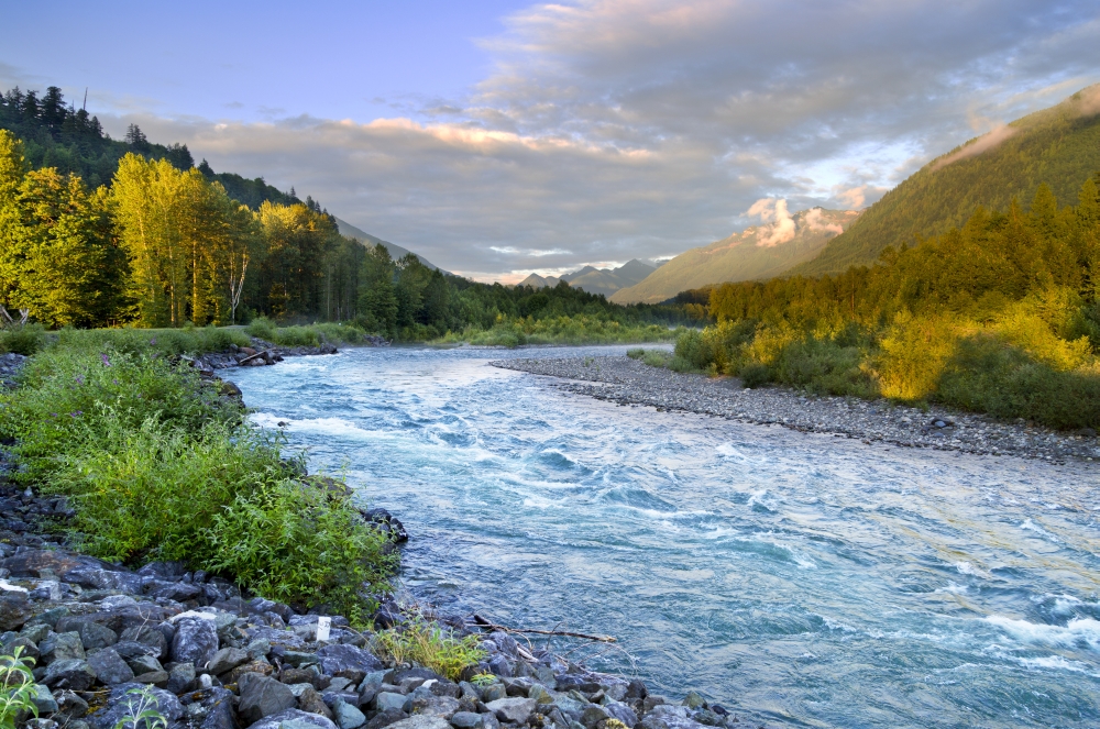 DPI12257142 A Rushing River & Autumn Coloured Foliage - British Columbia Canada Poster Print - 19 x 12 in.