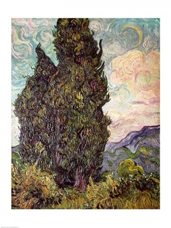 Cypresses 1889 Poster Print by Vincent Van Gogh - 24 x 36 in. - Large