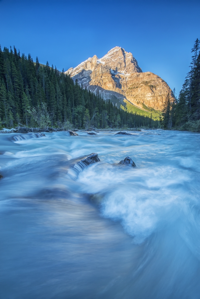 Mount Stephen Lights Up As The Sun Rises While The Yoho River Flows Poster Print by Yoho - 12 x 19 in.
