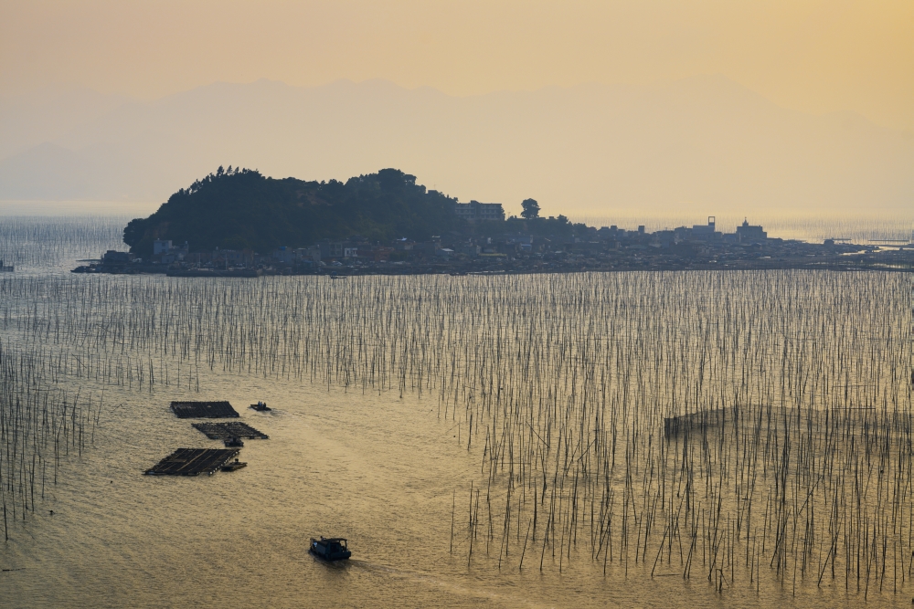 DPI12252657LARGE A Structure Made by Posts & Ropes To Hang Fishing Nets - Xiapu Fujian China Poster Print - 36 x 24 in. - Large