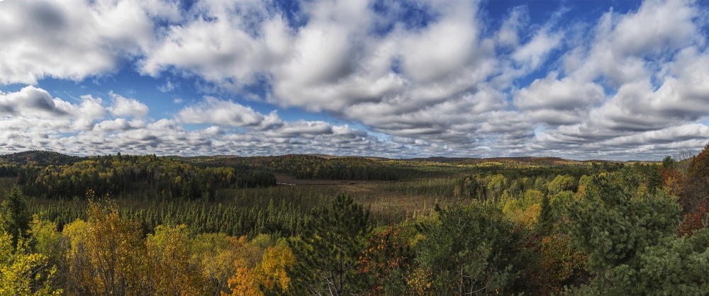 Panoramic View of Sunday Creek During Autumn Algonquin Park - Ontario Canada Poster Print