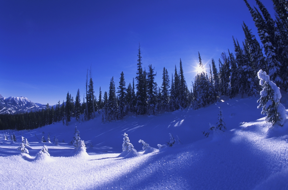 Winter Scene Poster Print - 17 x 11 in.
