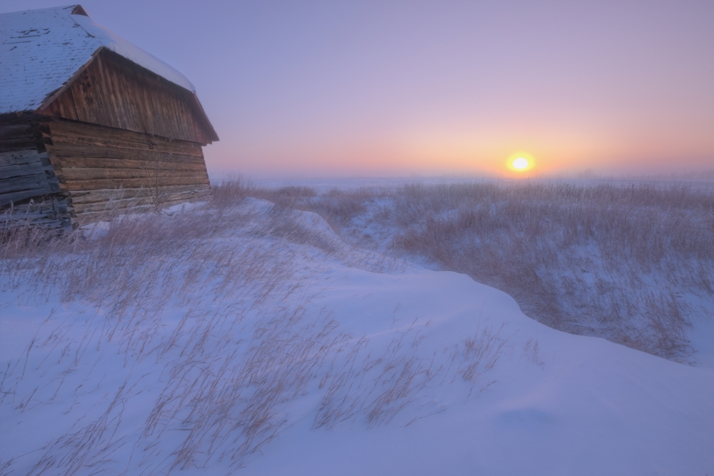 DPI2025541LARGE Sunrise On Abandoned Snow-Covered Homestead -40 Celsius Alberta Prairie Poster Print, 34 x 22 - Large