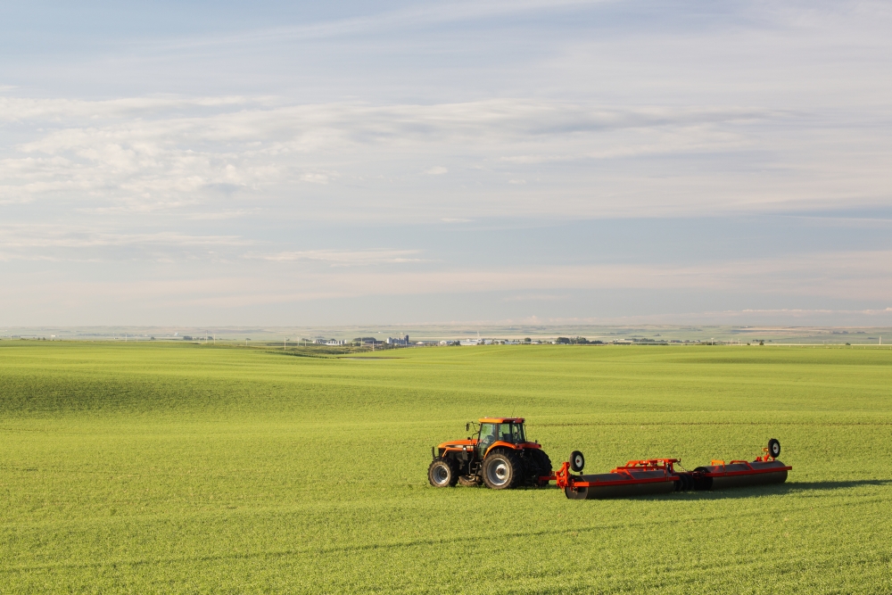Tractor & Land Roller in An Early Growth Cereal Grain Field Land Rollers Flatten High Spots & Press Rocks Into The Soil Poster Print - 19 x 12 in.