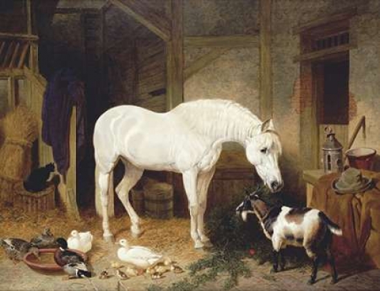 Stable Companions Poster Print by John Frederick Herring - 11 x 14 - Small