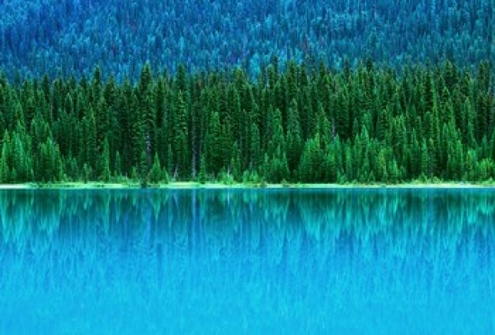 Emerald Lake Boathouse Yoho National Park British Columbia Canada