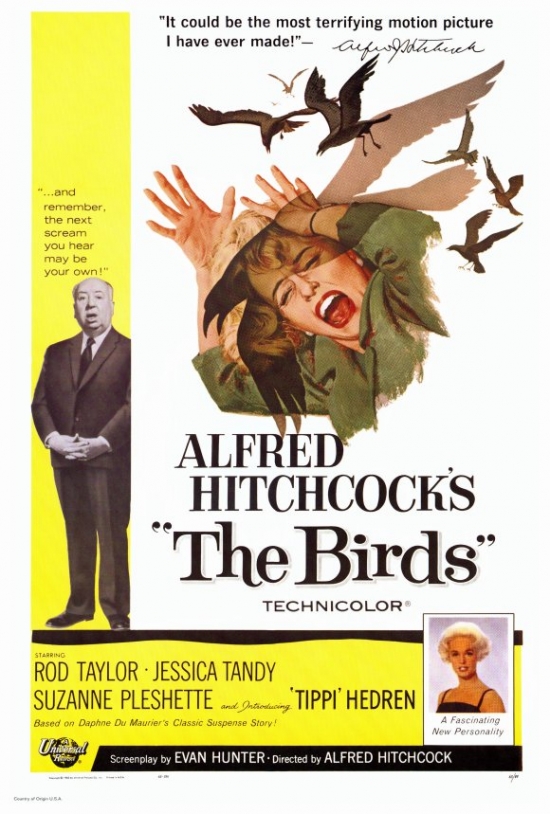 Picture of Pop Culture Graphics MOVCF9165 The Birds Movie Poster Print, 27 x 40