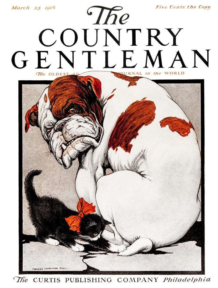 DPI12272384 Cover of Country Gentleman Agricultural Magazine From The Early 20th Century Poster Print - 13 x 17 in.