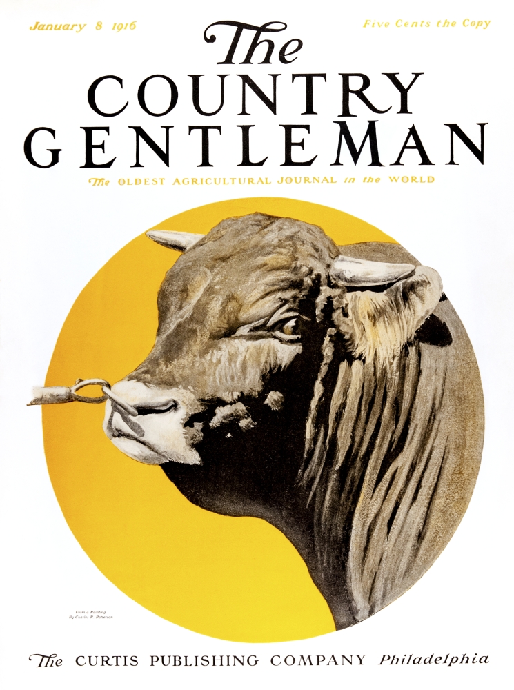 Cover of Country Gentleman Agricultural Magazine From The Early 20th Century Poster Print - 13 x 17 in.