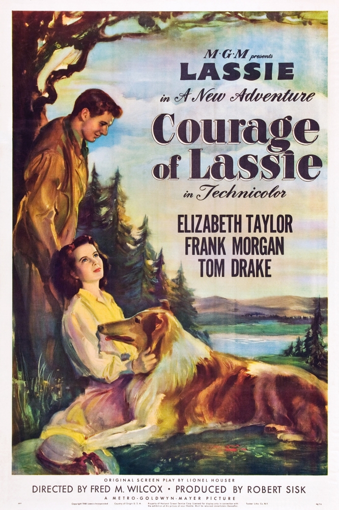 Everett Collection  Courage of Lassie US Poster From Top Right - Tom Drake Elizabeth Taylor Lassie 1946 Movie Poster Masterprint, 24 x 36 - Large -  Posterazzi, EVCMCDCOOFEC290HLARGE