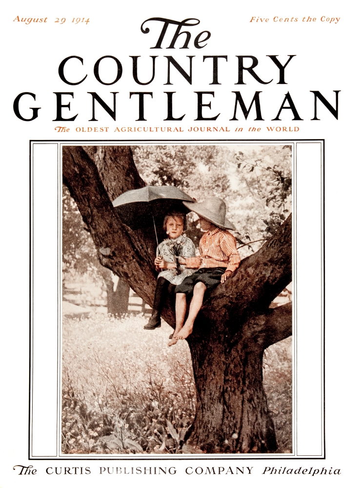 DPI12272504 Cover of Country Gentleman Agricultural Magazine From The Early 20th Century Poster Print - 13 x 17 in.