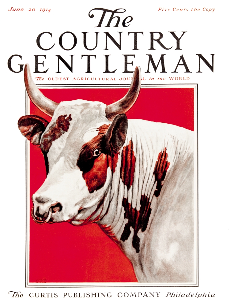 Cover of Country Gentleman Agricultural Magazine From The Early 20th Century Poster Print - 13 x 17 in.