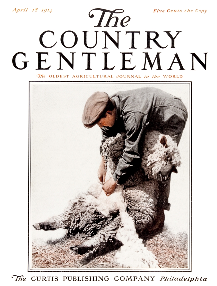 DPI12272523 Cover of Country Gentleman Agricultural Magazine From The Early 20th Century Poster Print - 13 x 17 in.