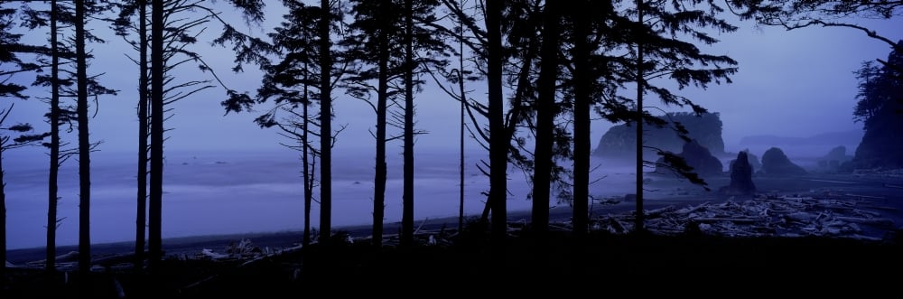 Fv5463 Ron Watts - USA Washington State Olympic National Park Ruby Beach Sea Stacks Sunset Poster Print - 25 x 8