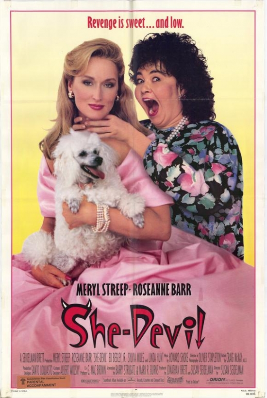 MOVIE3962 She-Devil Movie Poster, 11 x 17