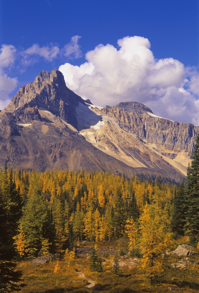 A Scenic Mountain View Poster Print - 11 x 17 in.