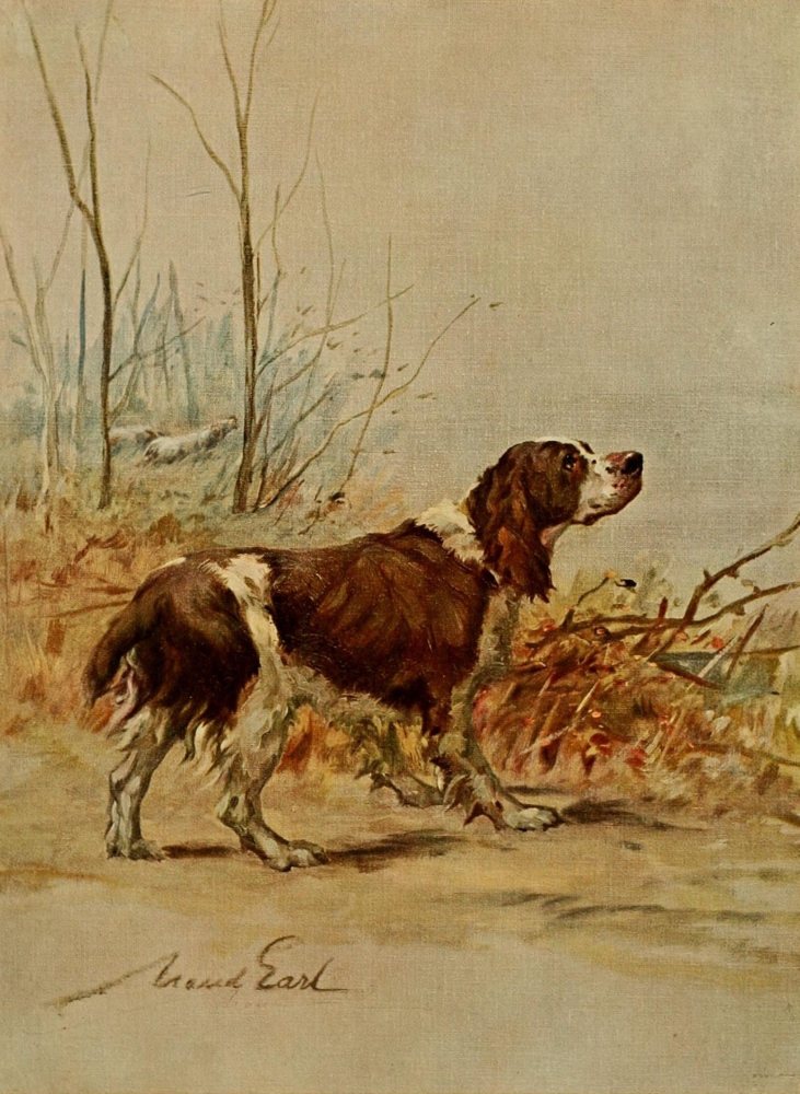 Power of The Dog 1910 English Springer Spaniel Poster Print by Maud Earl