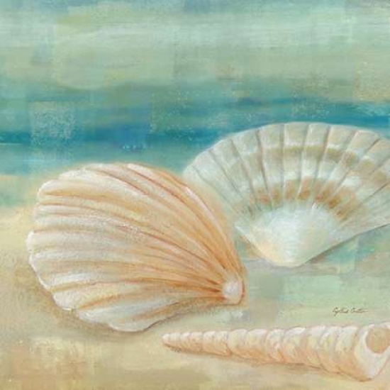 Horizon Shells IV Poster Print by Cynthia Coulter, 12 x 12 - Small