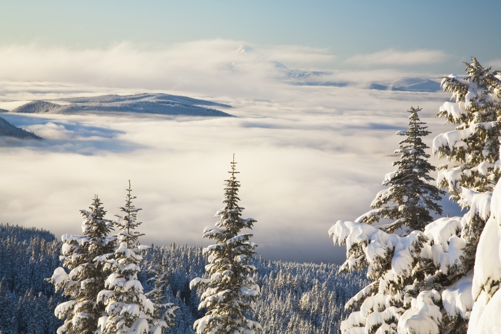 DPI1868502 Winter Landscape with Clouds & Snow-Covered Trees - Oregon USA Poster Print, 19 x 12