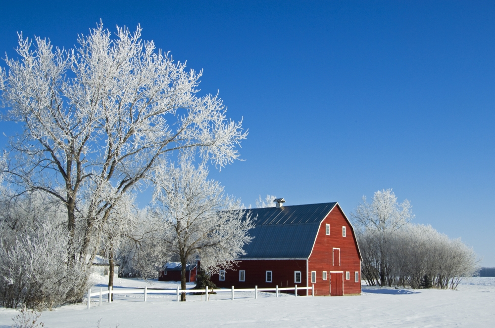Hoarfrost & Red Barn Grande Pointe Manitoba Poster Print - 17 x 11