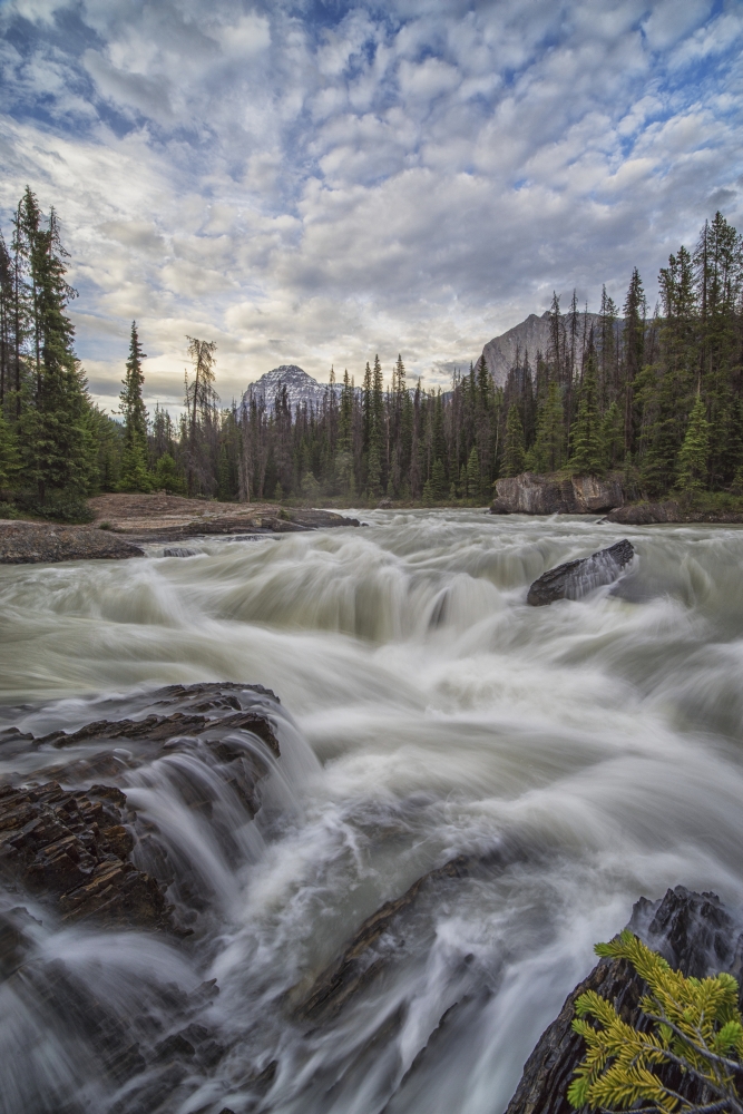 The Kicking Horse River Flows Over A Waterfall Before It Goes Beneath A Natural Bridge Yoho National Park - British Poater Print - 12 x 19 in.