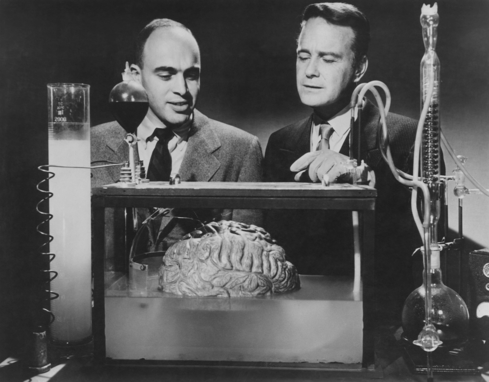 Donovans Brain Photo Print, 20 x 16 - Large