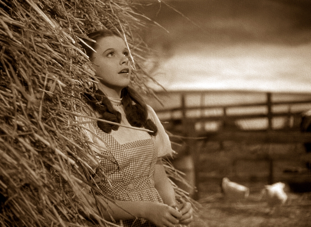 The Wizard of OZ Photo Print, 20 x 16 - Large